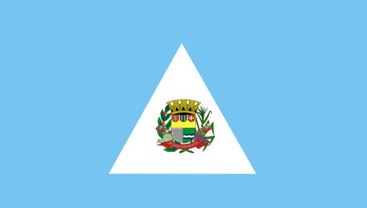 Flag of Junqueirópolis