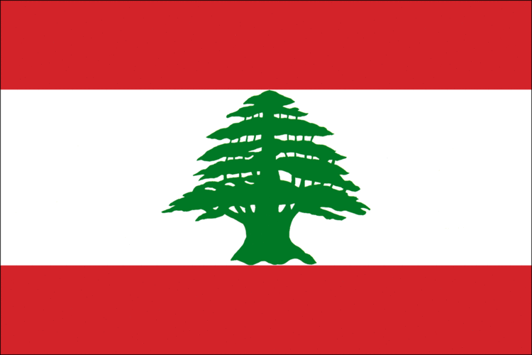 Flag of Lebanon 1000 ideas about Lebanon Flag on Pinterest Lebanon Beirut