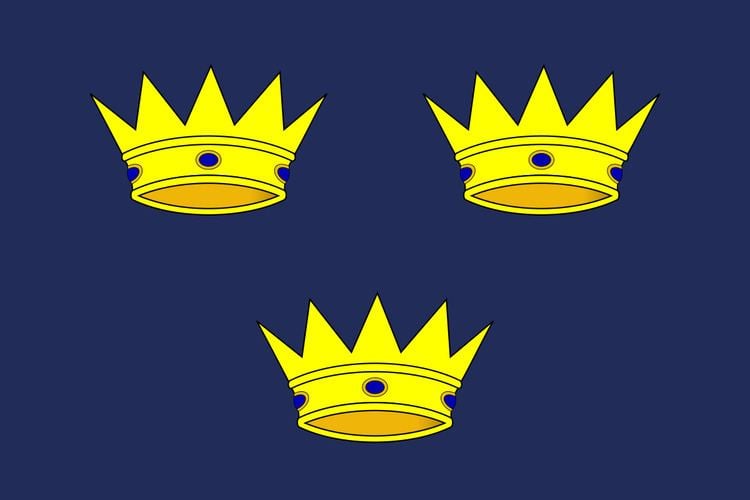 Flag of Munster