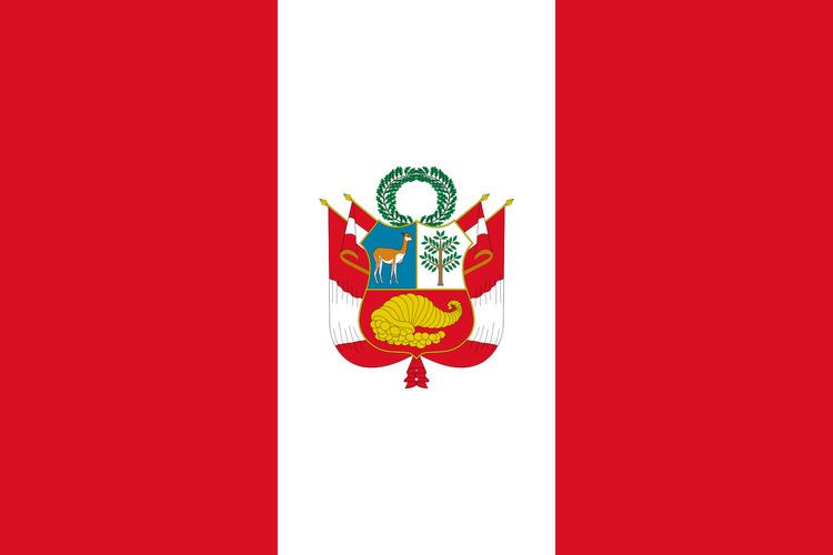 Flag of Peru FileFlag of Peru warsvg Wikimedia Commons