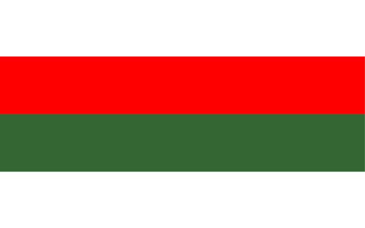Flag of Piła