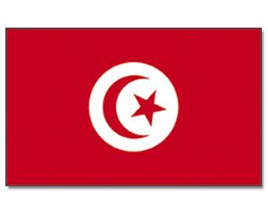 Flag of Tunisia Flag Tunisia Animated Flag Gif