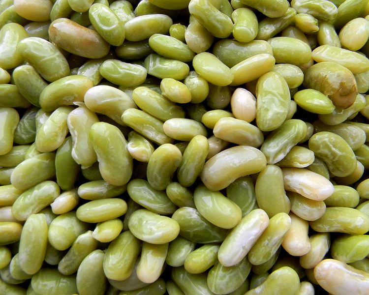 Flageolet Flageolet Beans Phaseolus