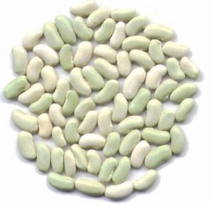 Flageolet bean Flageolet beans Substitutes Ingredients Equivalents GourmetSleuth