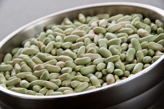 Flageolet bean Green Flageolet Beans Sustainable Food Suppliers InHarvest