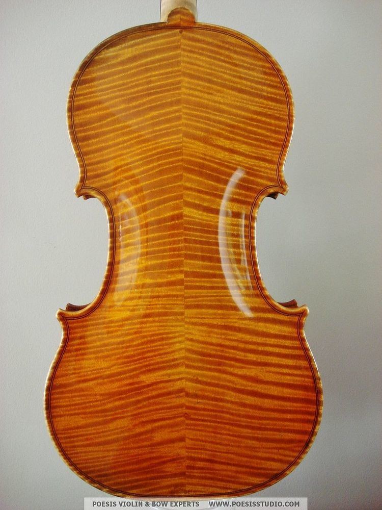 Flame maple