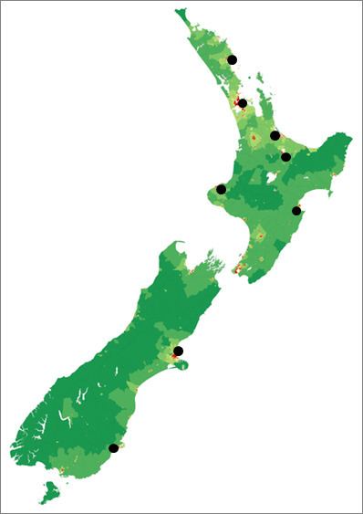 Flava (New Zealand)