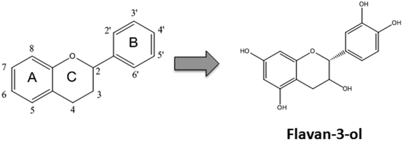 Flavan-3-ol Interactions of flavan3ols and procyanidins with membranes