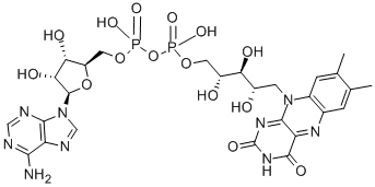 Flavin adenine dinucleotide FLAVIN ADENINE DINUCLEOTIDE 146145