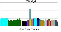 Flavin-containing monooxygenase 3