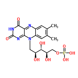 Flavin mononucleotide Flavin mononucleotide C17H21N4O9P ChemSpider