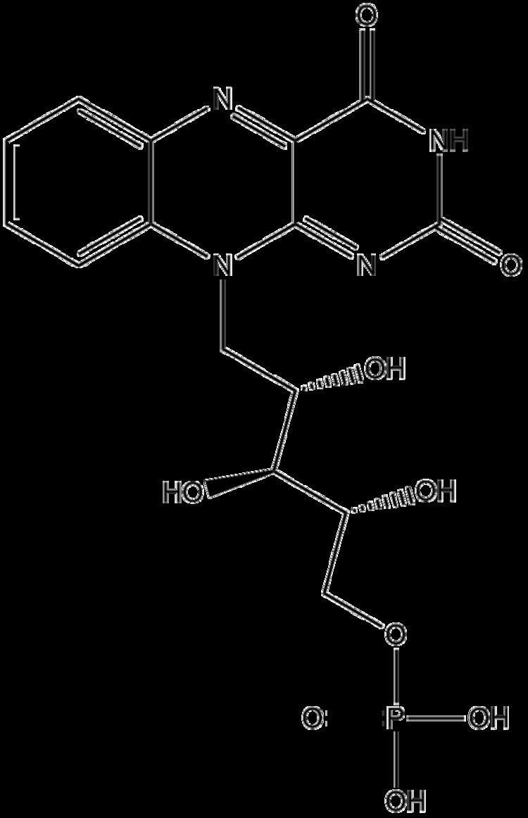 Flavin reductase