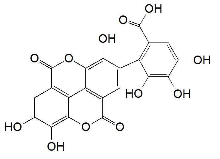 Flavogallonic acid dilactone httpsuploadwikimediaorgwikipediacommonscc