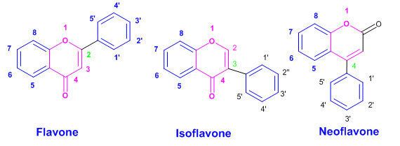 Flavones Synthesis Of Flavone Skeleton By Different Methods Oriental