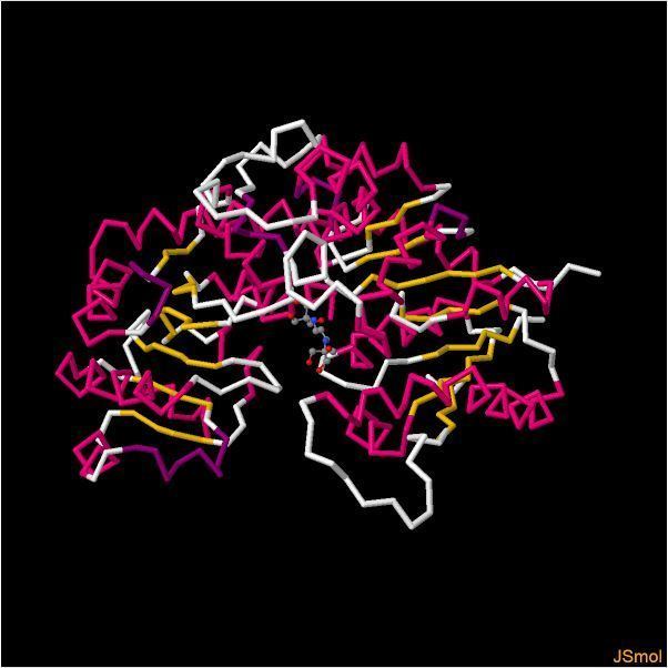 Flavonol 3-O-glucosyltransferase