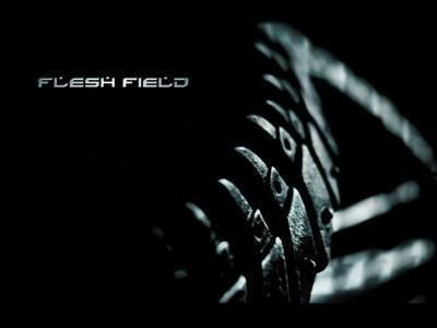 Flesh Field Flesh Field discography lineup biography interviews photos