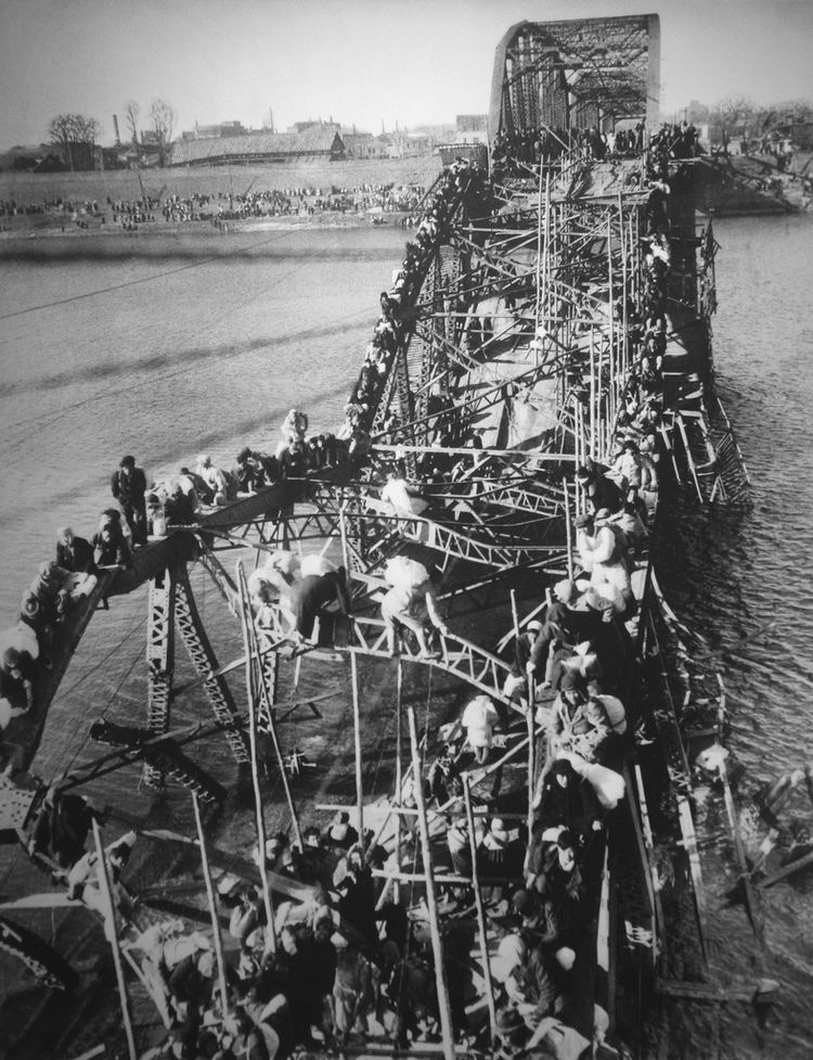 1950 Pyongyang North Korea Masses of Refugees Crossing Bridge Photo