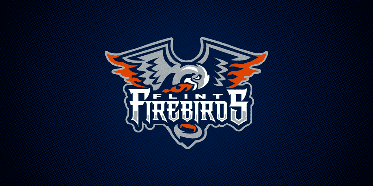 Flint Firebirds Flint Firebirds coming to the OHL next season icethetics