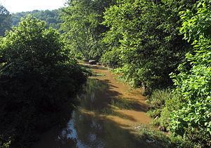 Flint Run (West Virginia) httpsuploadwikimediaorgwikipediacommonsthu