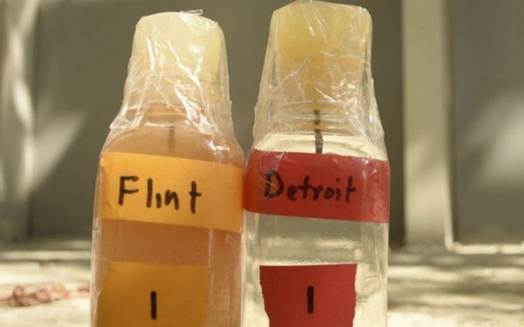 Flint water crisis Science heroes of Flint39s lead water crisis On Science Blogs