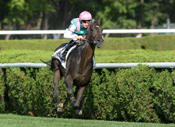 Flintshire (horse) Flintshire to Join Chad Brown Barn TDN Thoroughbred Daily News