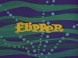 Flipper (1964 TV series) Flipper 1964 TV series Wikipedia