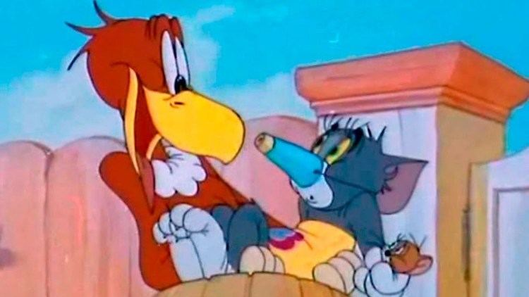 Flirty Birdy Tom and Jerry Flirty Birdy Episode 21 Tom and Jerry Cartoon