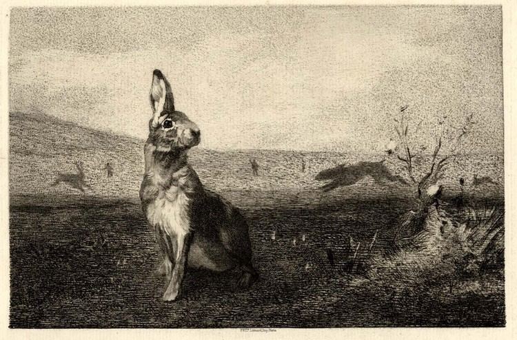 Félix Bracquemond Felix Bracquemond 18331914 1872 Etching The Hare a Misty Morning