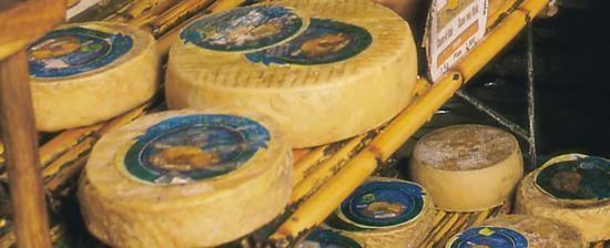 Flor de Guía cheese Flor de Gua Cheese in Spain spanish food from Canary Islands