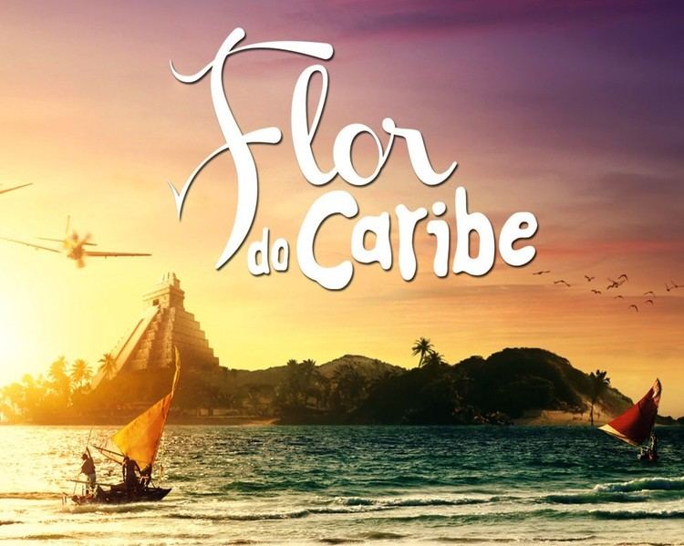 Flor do Caribe Index of galleryflordecaribe