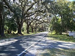 Floral City, Florida httpsuploadwikimediaorgwikipediacommonsthu