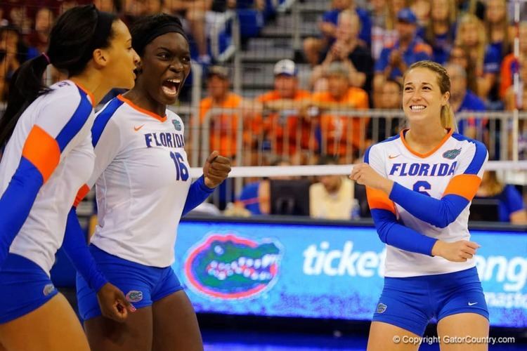 Florida Gators women's volleyball Florida Gators volleyball defeats Kentucky