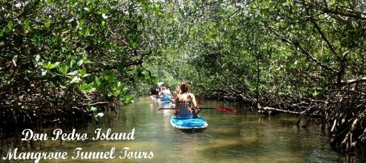 Florida mangroves MangrovetunnelatDonPedroIsland11024x457jpg