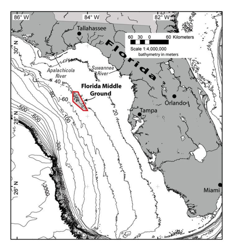 Florida Middle Grounds New Geologic Explanation for the Florida Middle Ground in the Gulf