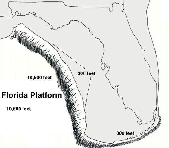 Florida Platform
