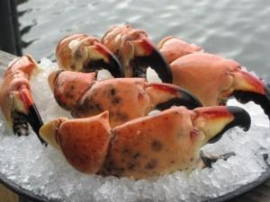 Florida stone crab Fresh Florida Stone Crabs from Billy39s Stone Crab Restaurant