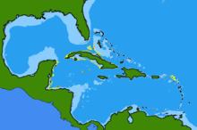 Florida torpedo httpsuploadwikimediaorgwikipediacommonsthu