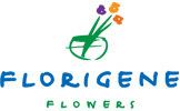 Florigene wwwflorigenecomfortradeimgflorigenesidelogojpg