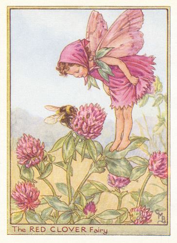 Flower Fairies Buy Antique Flower Fairy Art 192039s195039s Guaranteed Old Prints