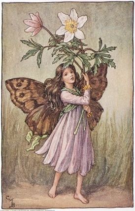 Flower Fairies 1000 images about Flower Fairies on Pinterest Spring Blossoms