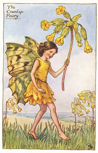 Flower Fairies Buy Antique Flower Fairy Art 192039s195039s Guaranteed Old Prints