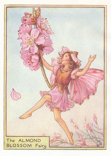Flower Fairies FlowerFairycouk Buy Genuine Antique Flower Fairy Prints