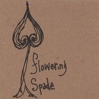 Flowering Spade httpsuploadwikimediaorgwikipediaencccFlo