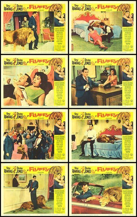 Fluffy (1965 film) Fluffy movie posters at movie poster warehouse moviepostercom