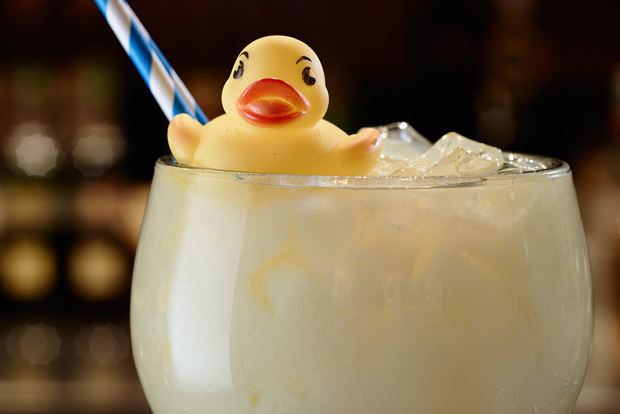 Fluffy duck Fluffy Duck Thirsty Liquor gt Thirst Quenchers