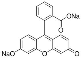 Fluorescein Fluorescein sodium salt used as fluorescent tracer SigmaAldrich