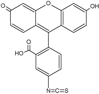 Fluorescein isothiocyanate FileFluorescein Isothiocyanategif Wikimedia Commons