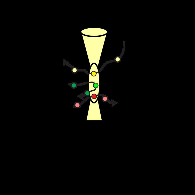 Fluorescence cross-correlation spectroscopy