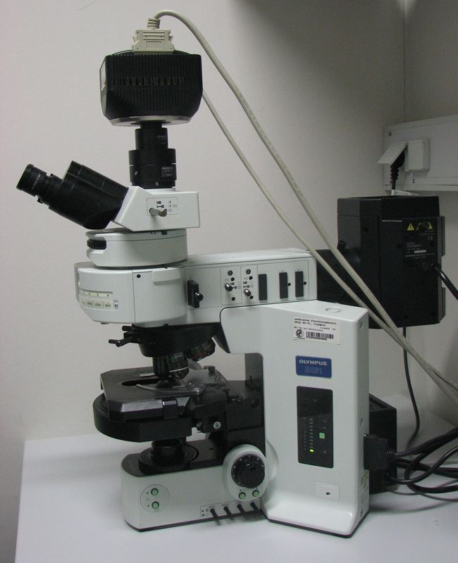 Fluorescence microscope