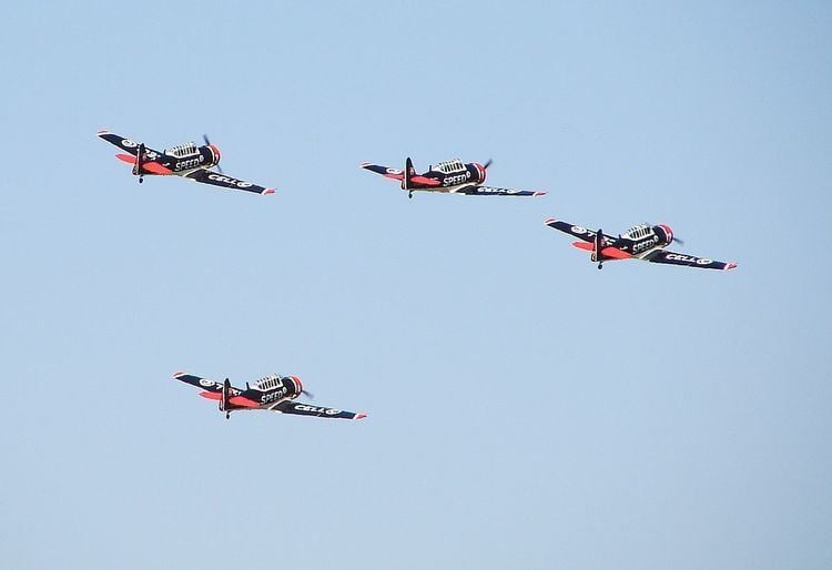 Flying Lions Aerobatic Team